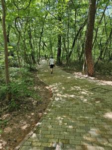 석남사 가는길-이미지